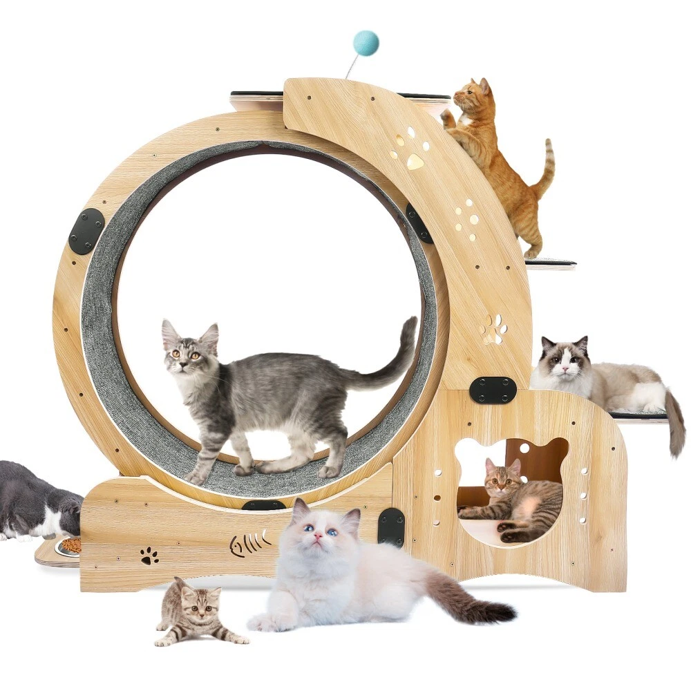 6 in 1 Cat Exercise Cat Wheel Exerciser for Indoor Large Treadmill Cat Toys