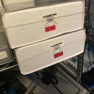 HAMILTON 1050TLL 50uL GLASS SYRINGE 85020 LUER LOCK Twin Pack , (2 In Box)