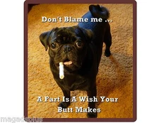   Funny Black Farting Pug Dog Refrigerator / Tool Box  Magnet Gift Item