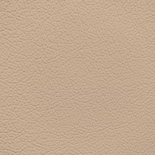 BMW Beige Leather Dye