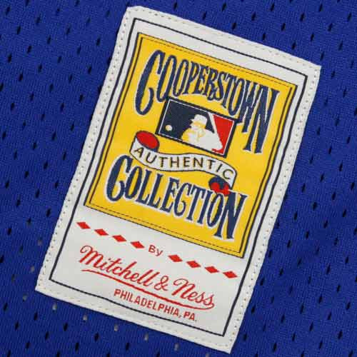 Men's Mitchell & Ness Dwight Gooden Royal New York Mets Cooperstown Mesh Batting - Imagen 5 de 5