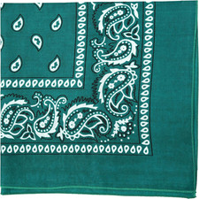 22 Inch Cotton Paisley Bandana