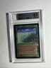 MTG BETA Lifelace R G BGS 8.5  NM-MT+ (with Mint centering) 1993