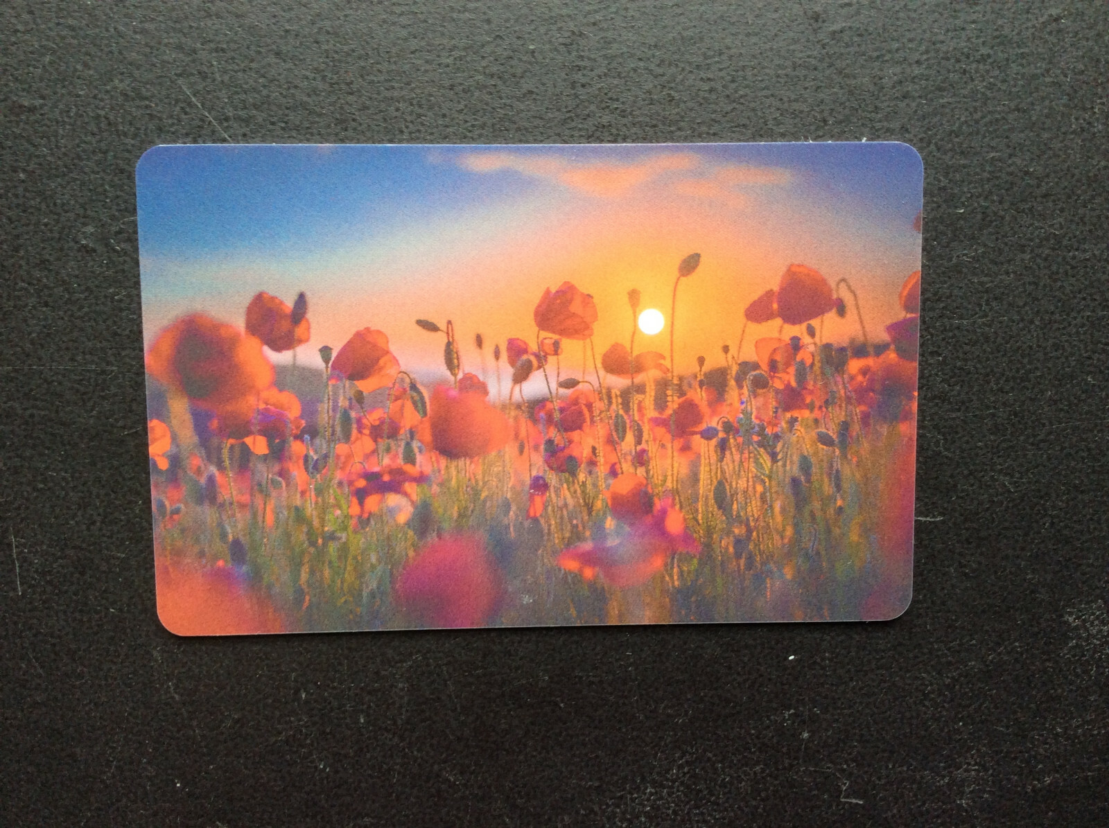 NATIONAL TRUST MEMBERSHIP CARD EXPIRED 2019 (M) collectors' item eBay