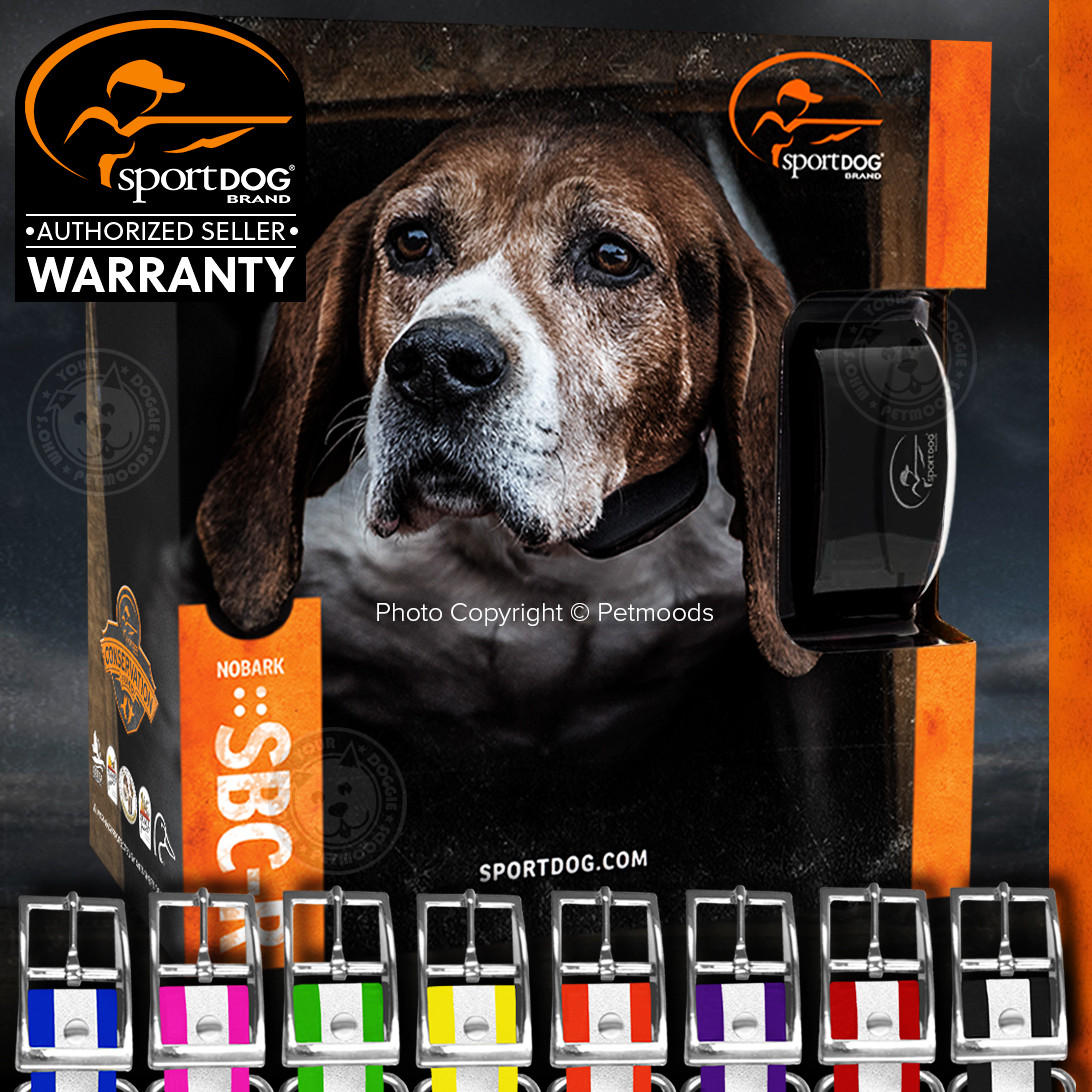 SportDOG SBCR Rechargeable NoBark Dog Collar Submersible FREE