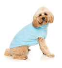 Dog Jumper Vest Fluffy Sweater Size 4 FuzzYard Blue - Good Used Condition