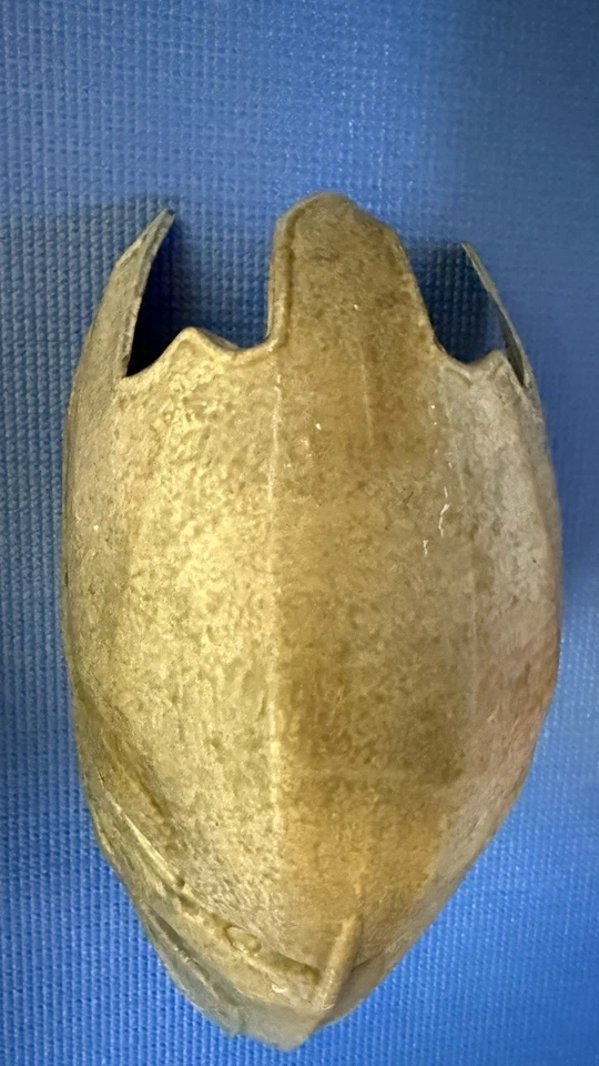 SDCC 2025 Exclusive Predator Badlands Hall H Plastic Predator Mask - Image 2 of 3