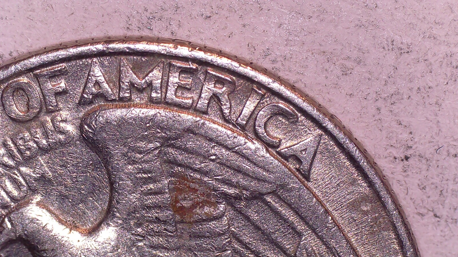 Picture 11 of 14