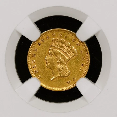 1856 $1 Indian Princess Head Pre1933 Gold Dollar Slanted 5 NGC DAMAGE AU Details