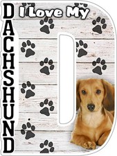 I Love My Dachshund Fridge Magnet
