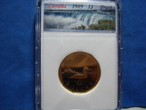 1989 Canada Beautiful High Grade Proof  Dollar 1$  #E----53