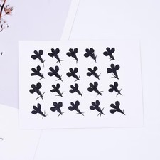 20PCS real Pressed dried Flower Dyed Black Flower for art craft FCD18