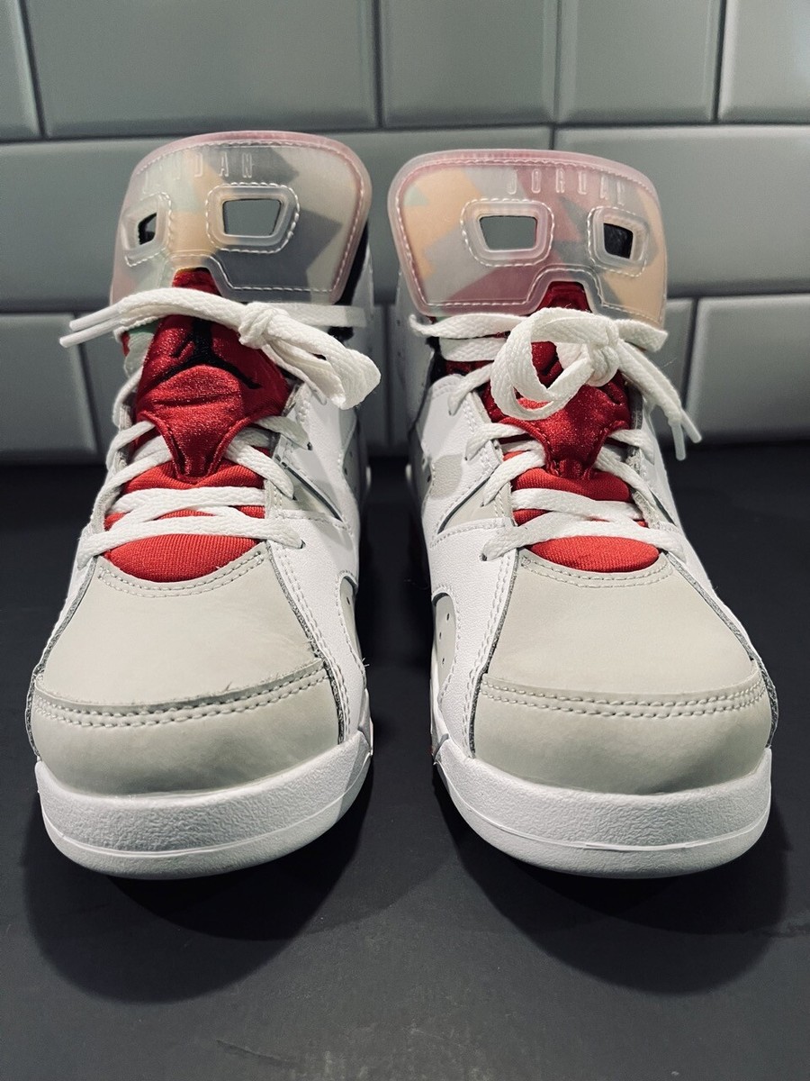 Air Jordan 6 ピーターラビット Size 14 Air Jordan 6 Retro LTR “Flight Nostalgia” CI3125-100