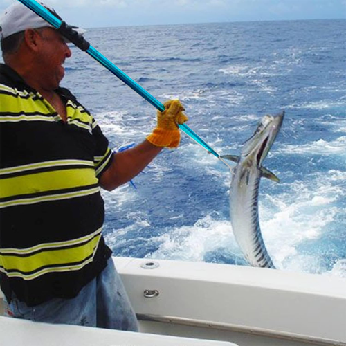 Telescopic Fish Gaff with Stainless Sea Fishing Spear Hook Tackle, Soft Handle A - Picture 6 of 12