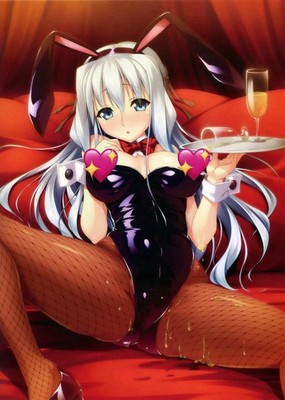 Luna Original B2 Tapestry PC Software Elect!Sofmap Store Bonus Anime Wall Scroll
