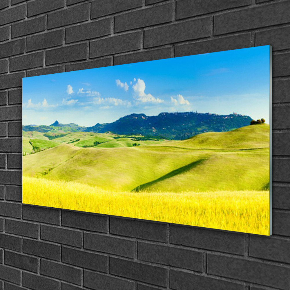 Tableau impression sur verre Tulup 100x50 cm décoration murale de montagnes et champs