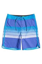 NWT Quiksilver Boys' Big Everyday Grass Roots Youth 17 Boardshort Blue Size 27