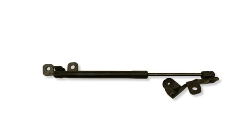 Tesla Model 3 2020 Rechts Motorhaube Haubendämpfer Federbein 108958600C