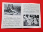 Foto 5 di 6