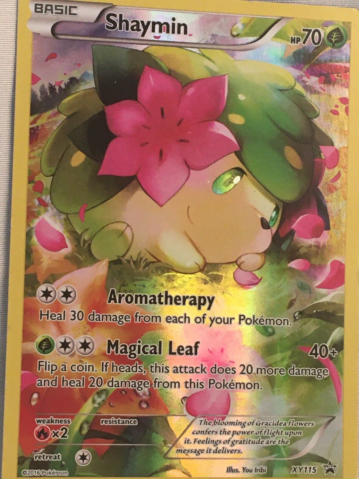 Pokemon Shaymin  MercadoLivre 📦