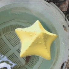 Aqua Select® Starfish Sponges Oil and Lotion Absorber