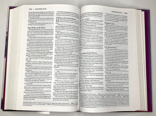 Zondervan 2015 Amplified Holy Bible Hardcover - Picture 18 of 24