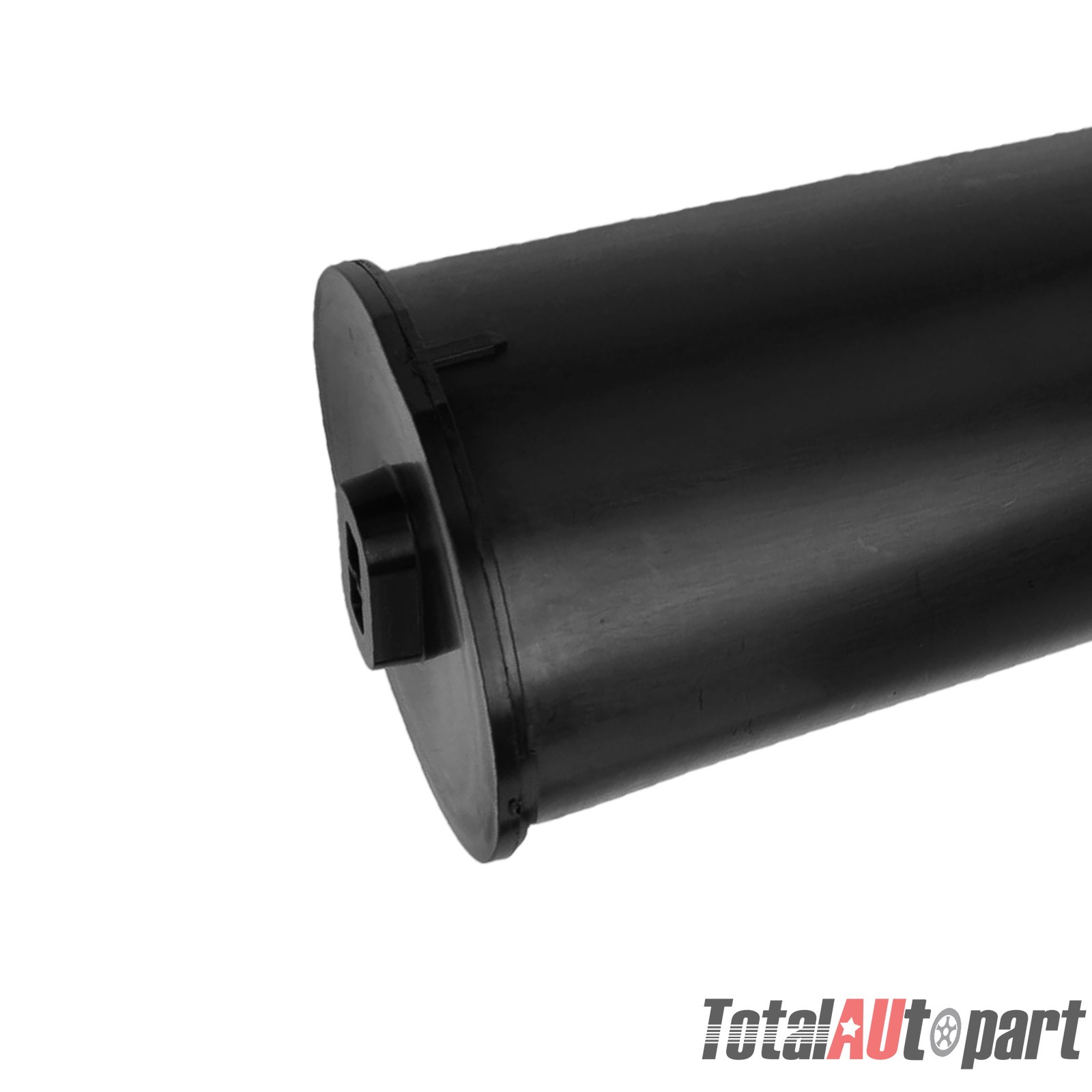 Ford GT 2004-2009 Evap canister Charcoal