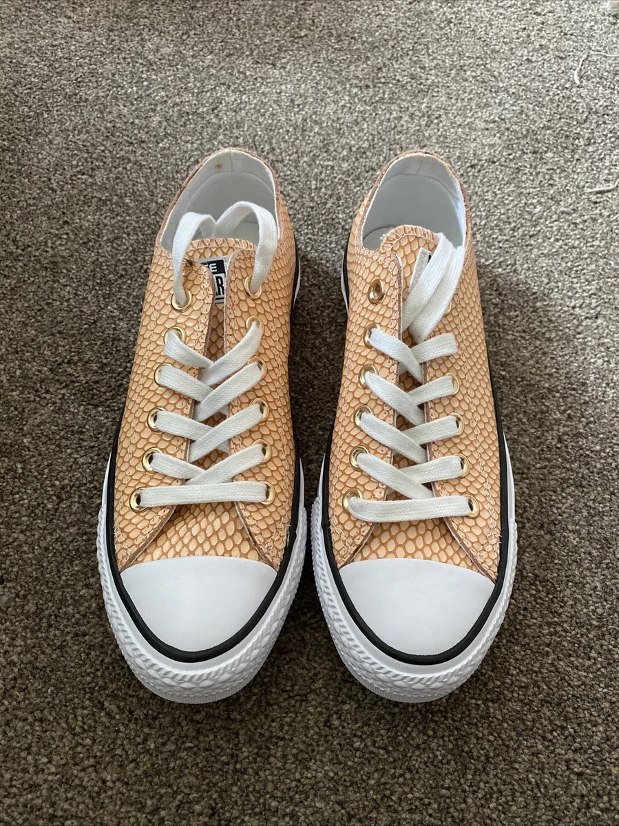 Converse ladies 5 deals