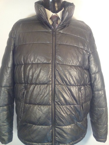 54163 tommy hilfiger