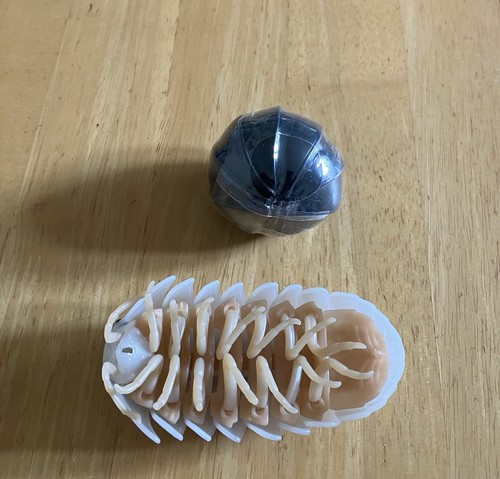 Menge 2 Dangomushi Baby Isopod Pille Bug 4" Figur Cremeweiß & Schwarz Japan Neu - Bild 2 von 4