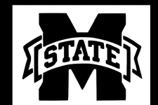 Mississipi State Bulldogs College Plastic Reusable Stencil *FAST SHIPPING*