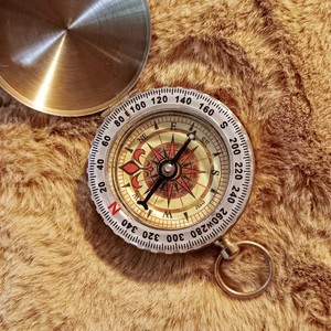 Brass Compass