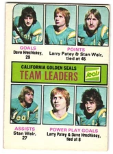 Dave Hrechkosy Larry Patey Stan Weir 1975 O-Pee-Chee #316 Golden Seals EX