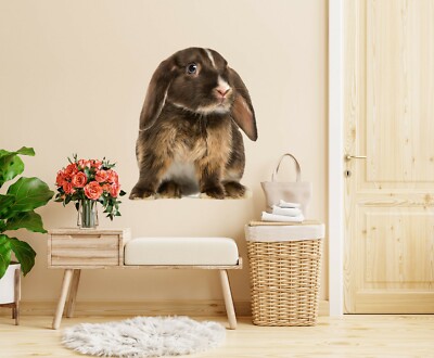 3D Hängeohrkaninchen M191 Tier Wallpaper Wandbild Poster Wandaufkleber Zoe