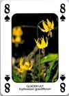 Bild 47 von 54
