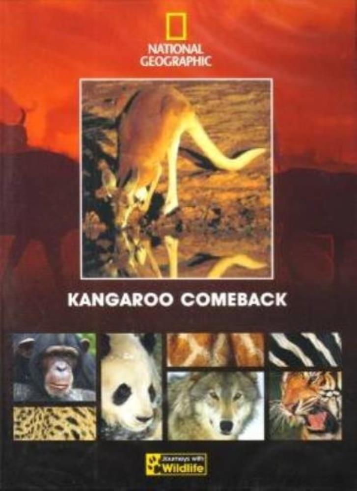National Geographic - Kangaroo Comeback DVD (2004) FREE SHIPPING