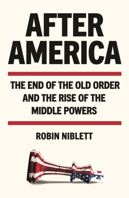 After America: The End of the Old Order and the Rise of the Middle Powers - Image 8