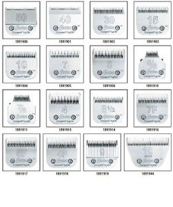 all clipper sizes