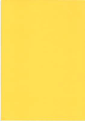 Quickdraw 25 Blatt A4 Sonnenblume Goldgelb 240gsm Karte Craft & Hobby