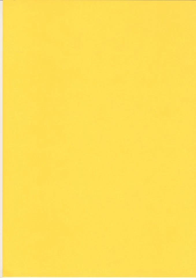 QUICKDRAW 50 SHEETS A4 SUNFLOWER GOLDEN YELLOW 240gsm THICK CARD ART CRAFT & HOBBY