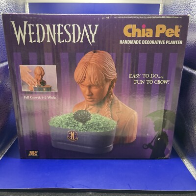 Chia Pet ''Wednesday'' Decorative Pottery Planter - Addam s Family