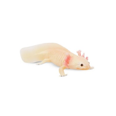 Toymany ML00310 Axolotl-Salamander 9,3 cm Reptilienreich 
