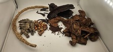 Djeka leaves KIT (1bls, see description)