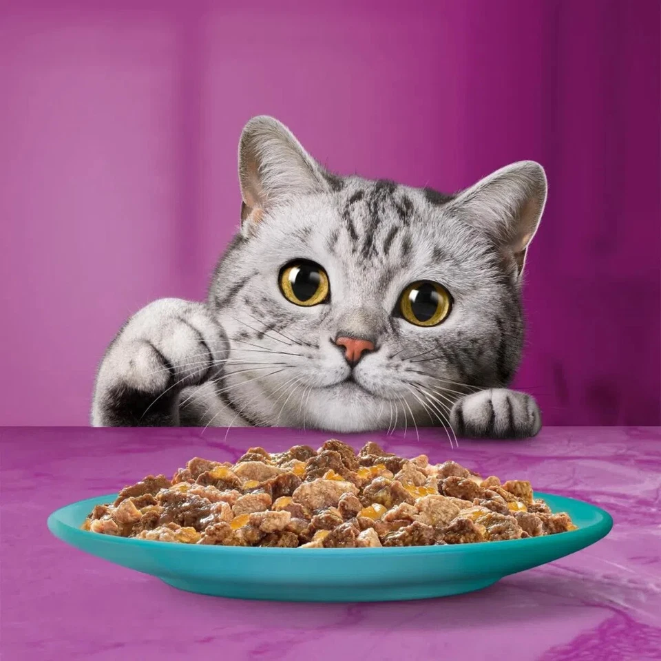 NASSFUTTER WHISKAS KATZENFUTTER MITTAGESSEN GEMISCHTES FLEISCH BOX 12x 6x 50g - Bild 4 von 4