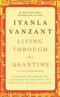 Living Through The Meantime, Iyanla Vanzant
