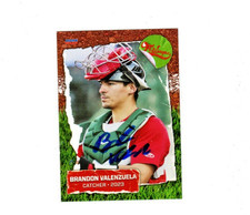 Brandon Valenzuela 2023 Fort Wayne Tincaps signed autograph baseball card Mex c