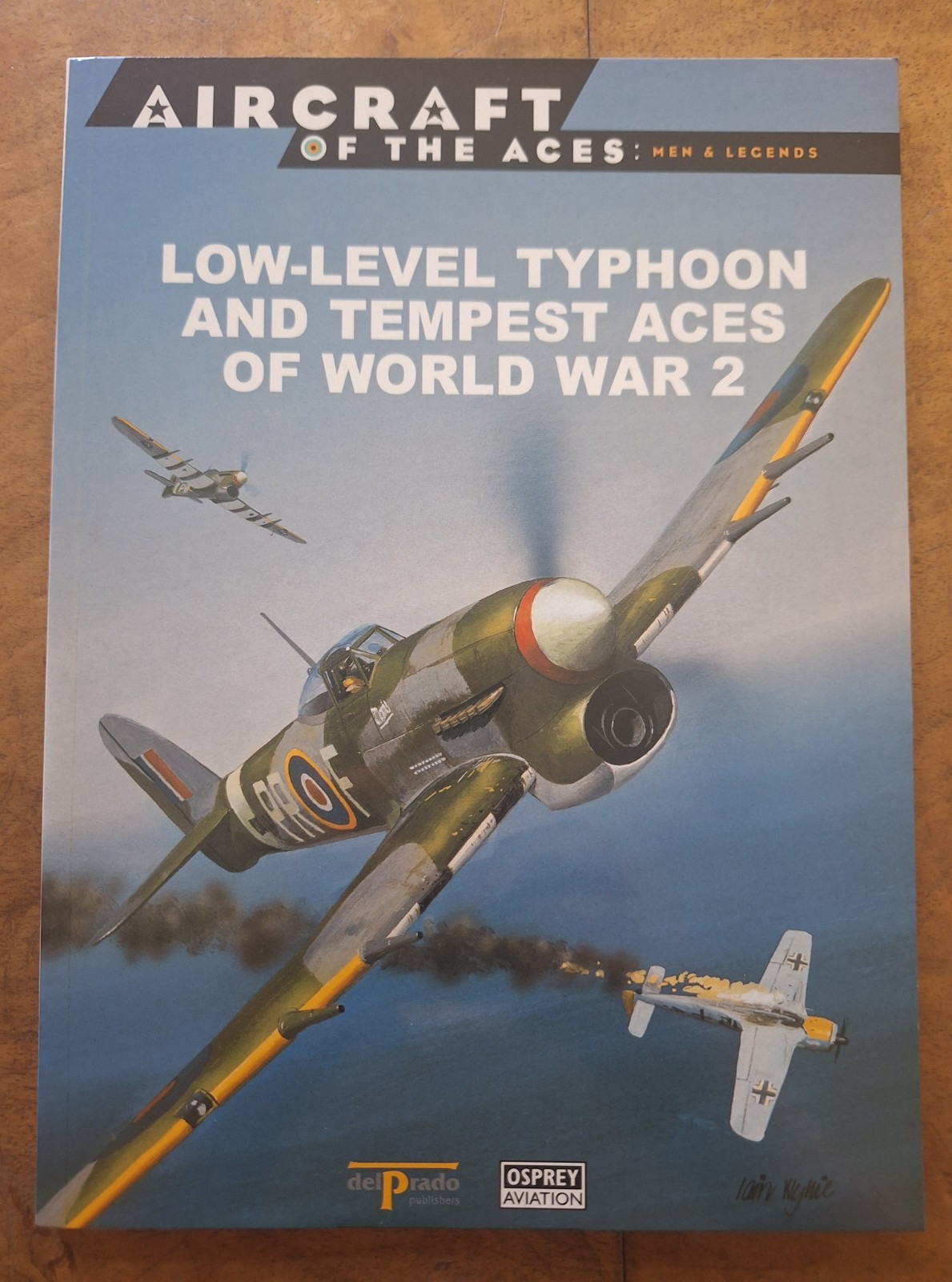 LOW-LEVEL TYPHOON AND TEMPEST ACES OF WORLD WAR 2 (Paperback)