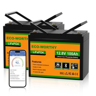 12V 200AH (2 Pack 100AH ) Bluetooth LiFePO4 Lithium Batterie Akku BMS für Boot