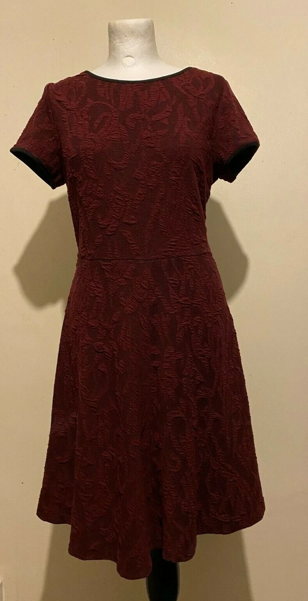 Fit and flare hotsell dress dorothy perkins