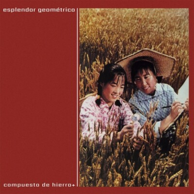 ESPLENDOR GEOMETRICO - COMPUESTO DE HIERRO 2 VINYL LP NEU | eBay